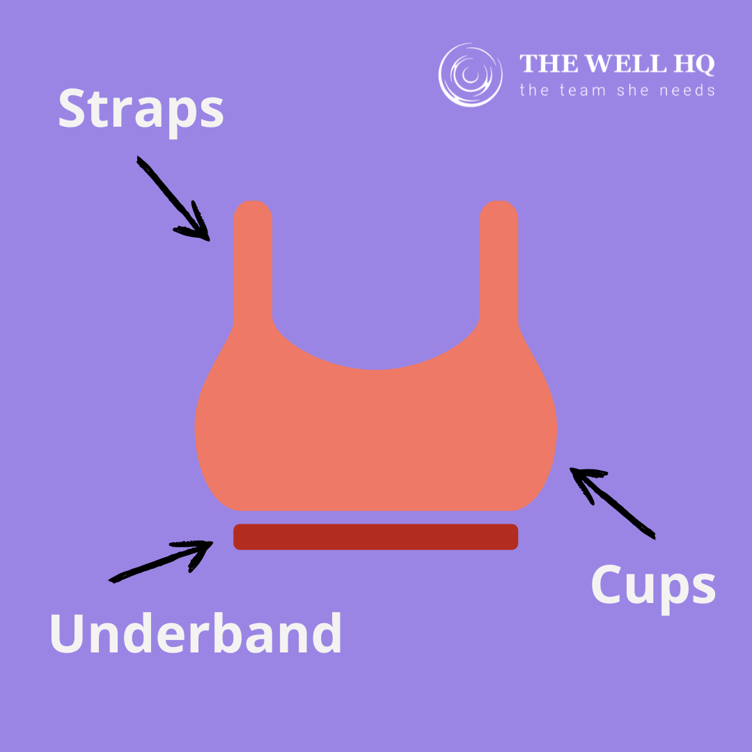 How To Fit A Bra Infographic